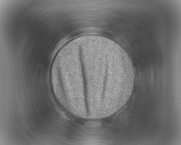 X0000065970099200603311849