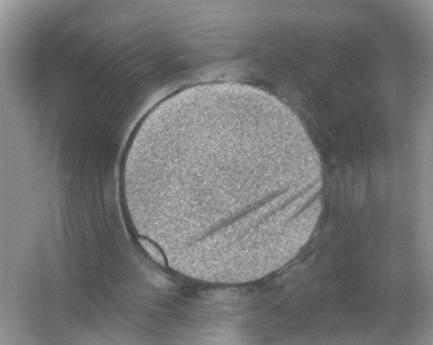 X0000065970100200603311849