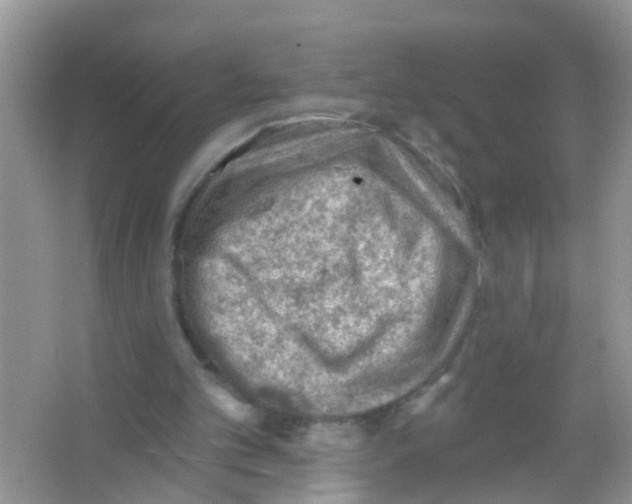 X0000065970101200603311849