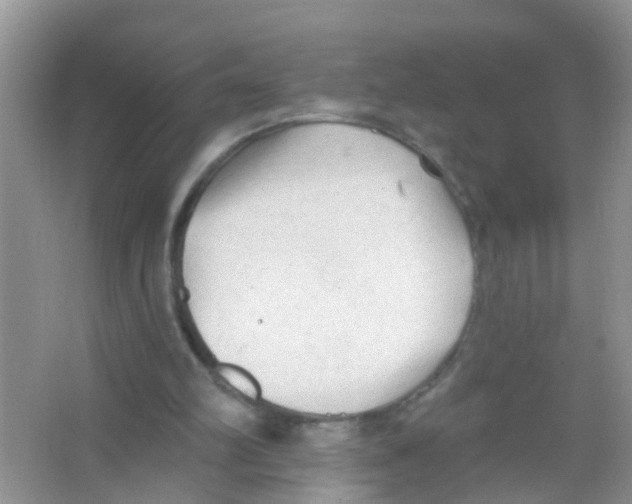 X0000065970102200603311849