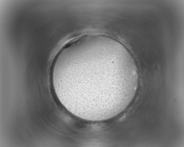 X0000065970103200603311849