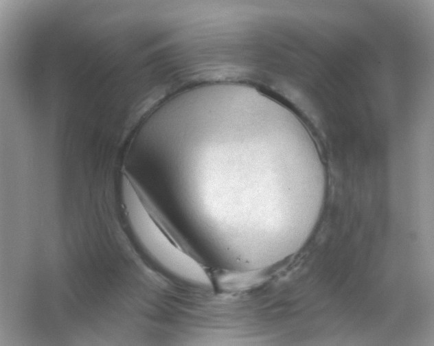 X0000065970105200603311849