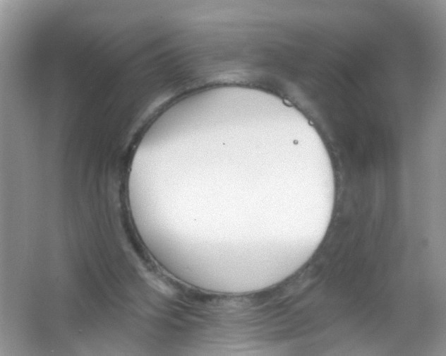 X0000065970106200603311849