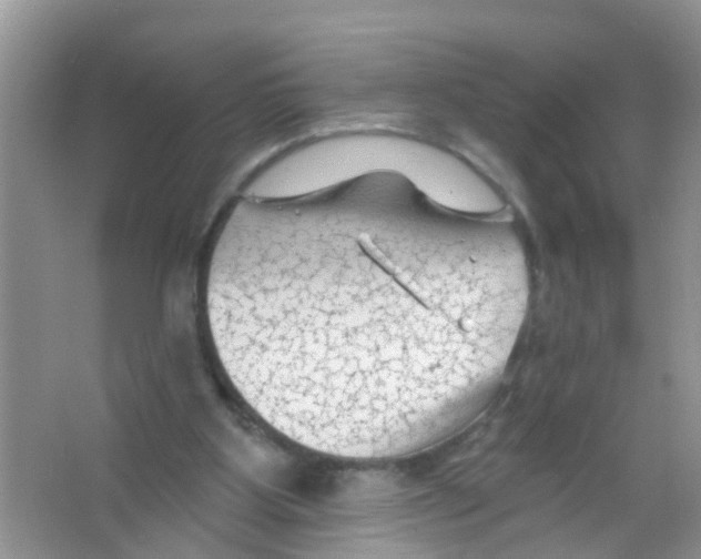 X0000065970107200603311849