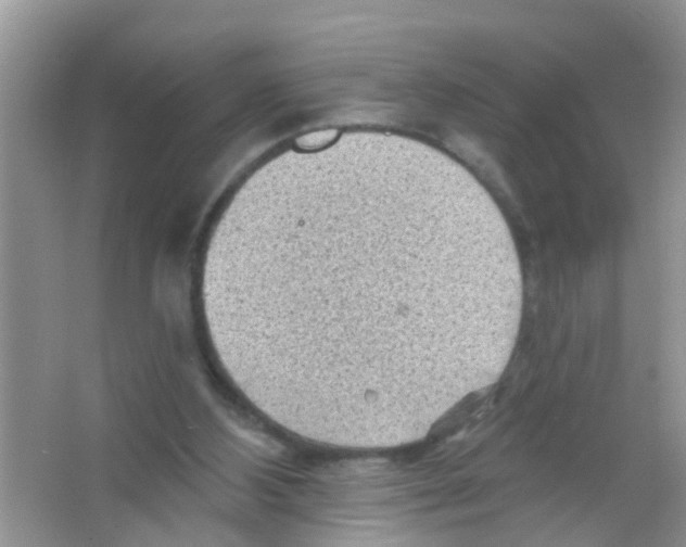 X0000065970108200603311849