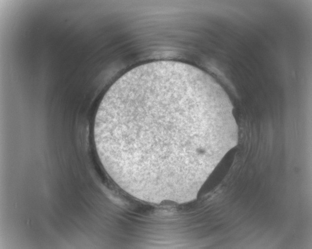 X0000065970110200603311849