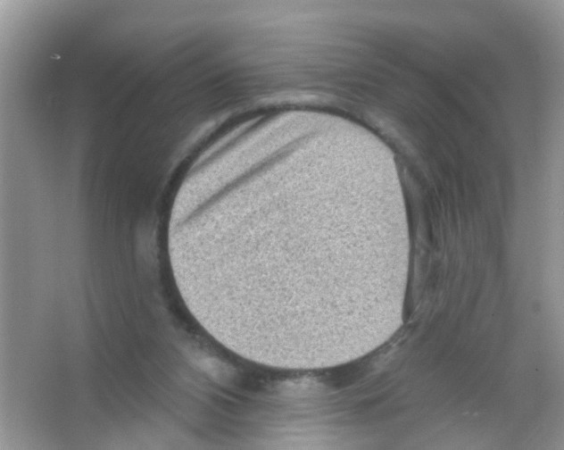 X0000065970112200603311849