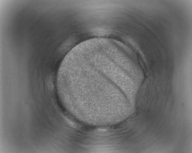 X0000065970114200603311849