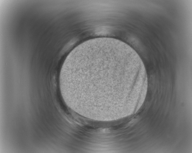 X0000065970116200603311849