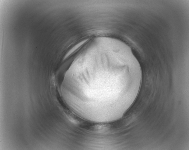 X0000065970117200603311849