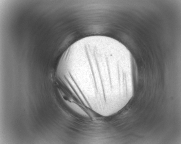 X0000065970119200603311849