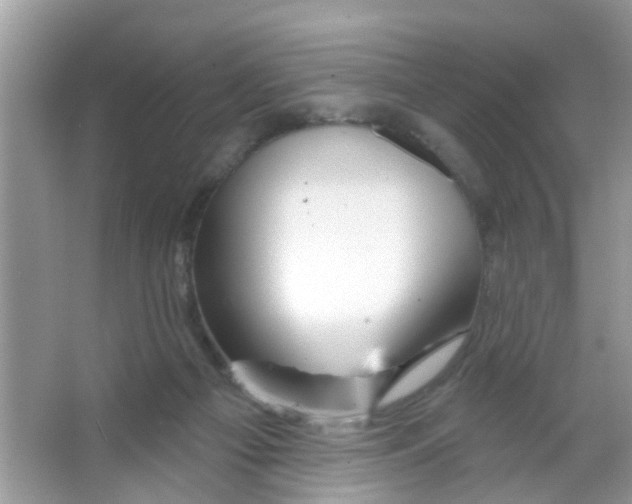 X0000065970121200603311849