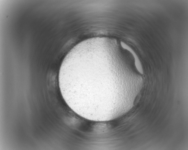 X0000065970123200603311849