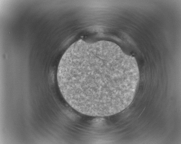 X0000065970124200603311849