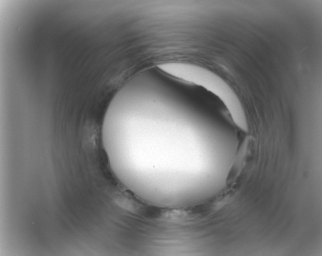 X0000065970125200603311849