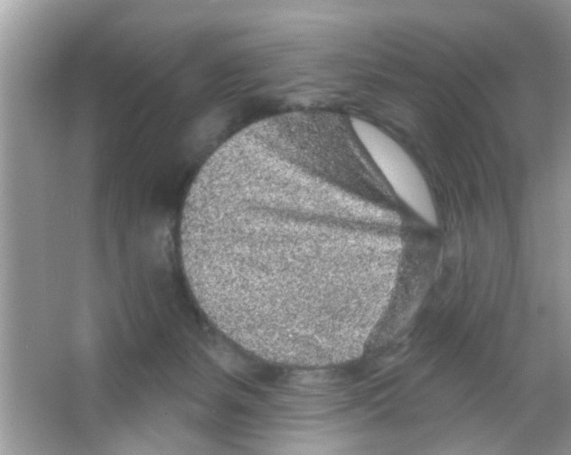 X0000065970127200603311849