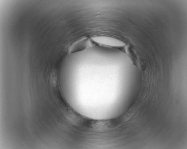 X0000065970129200603311848