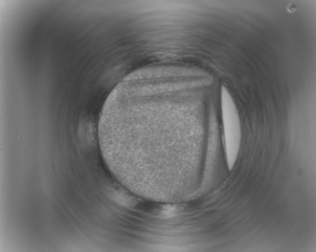 X0000065970130200603311848