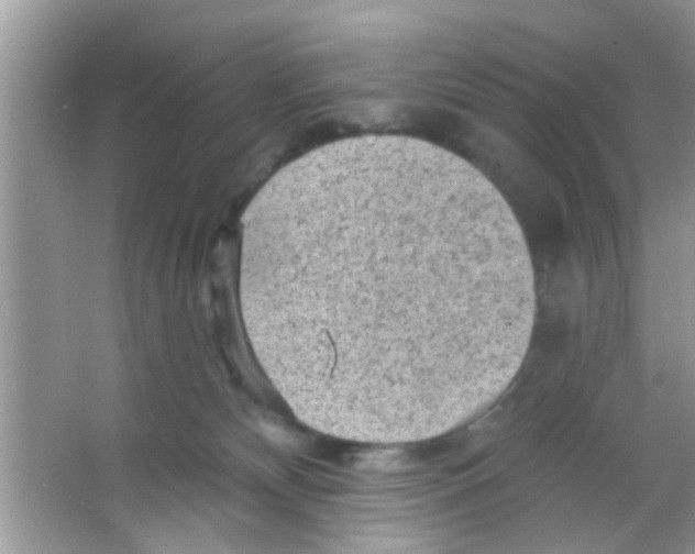 X0000065970132200603311848