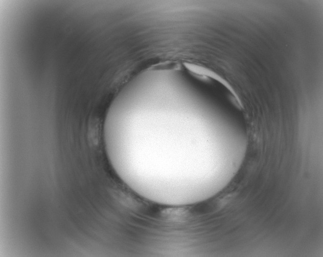 X0000065970133200603311848