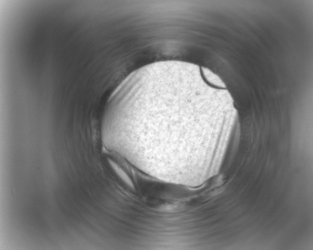 X0000065970135200603311848