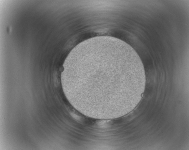 X0000065970136200603311848