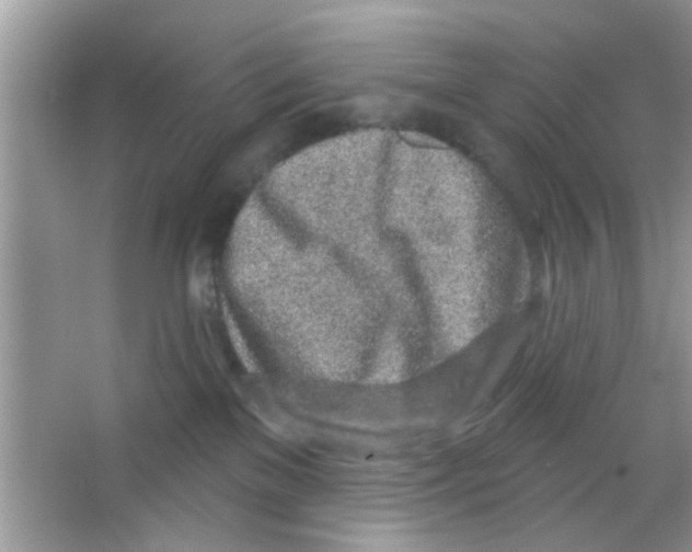 X0000065970137200603311848