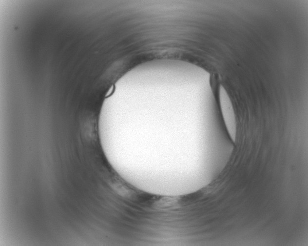 X0000065970138200603311848