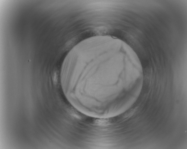 X0000065970139200603311848