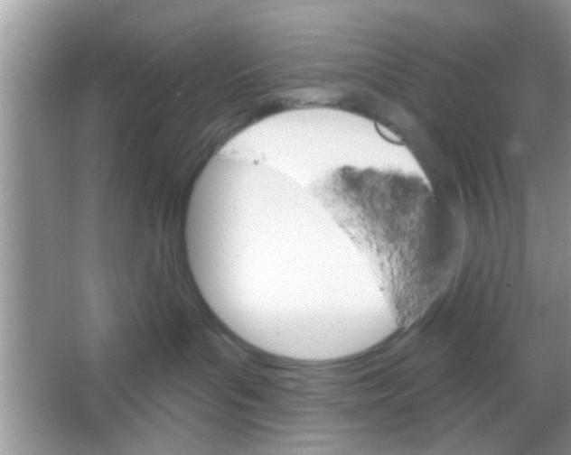 X0000065970143200603311848