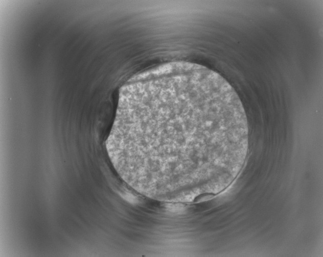 X0000065970144200603311848