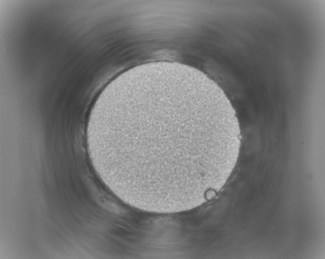 X0000065970146200603311847