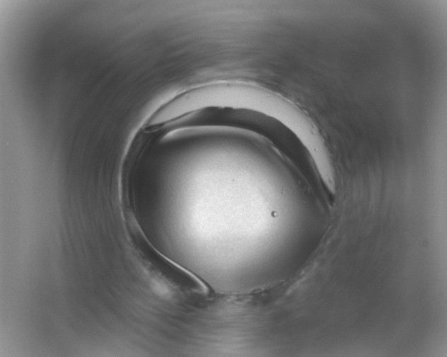 X0000065970148200603311847