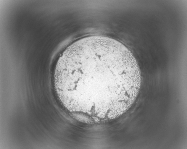 X0000065970149200603311847