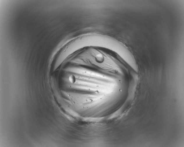 X0000065970150200603311848