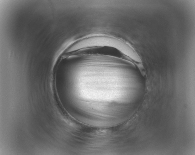 X0000065970152200603311848