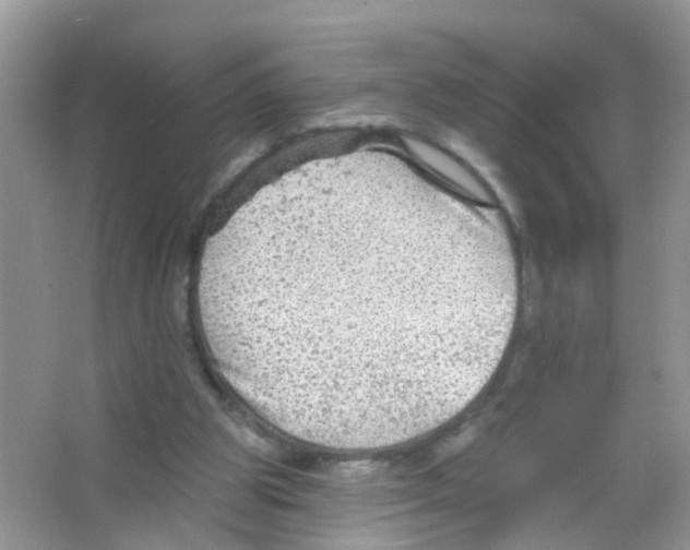 X0000065970153200603311848