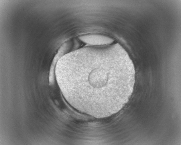 X0000065970154200603311848