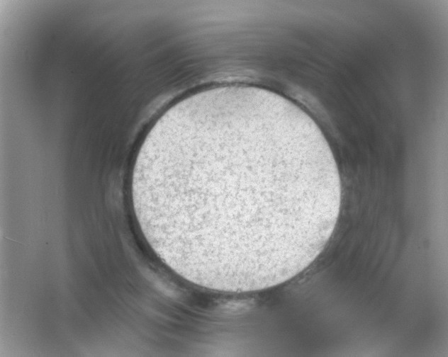 X0000065970155200603311848