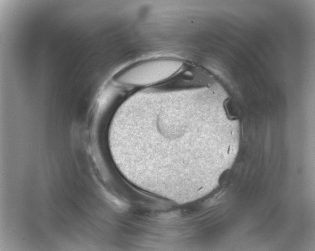 X0000065970156200603311848