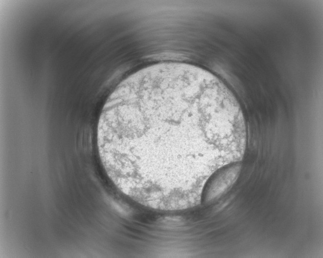 X0000065970157200603311848