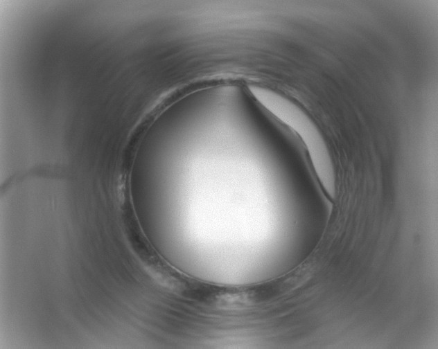 X0000065970160200603311848