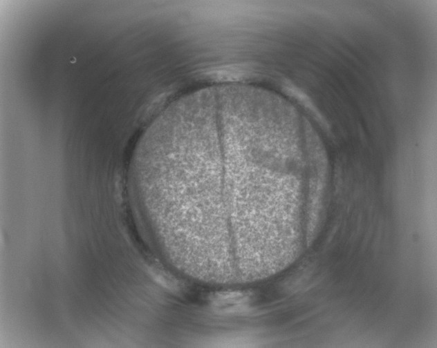 X0000065970161200603311848