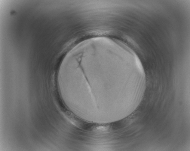 X0000065970163200603311848