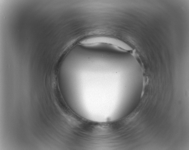 X0000065970164200603311848