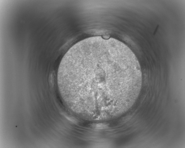 X0000065970165200603311848