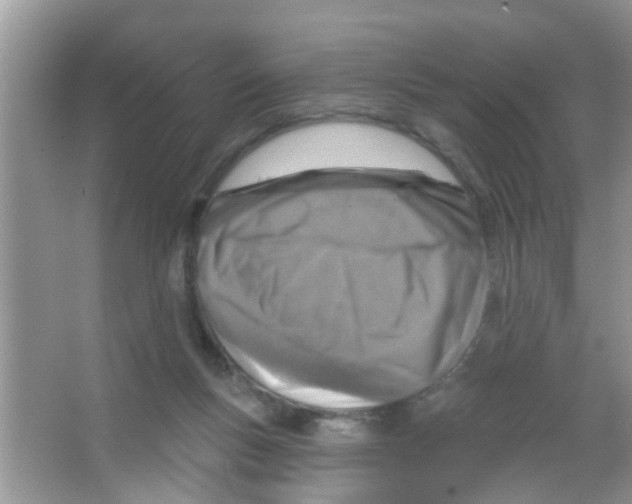 X0000065970167200603311848