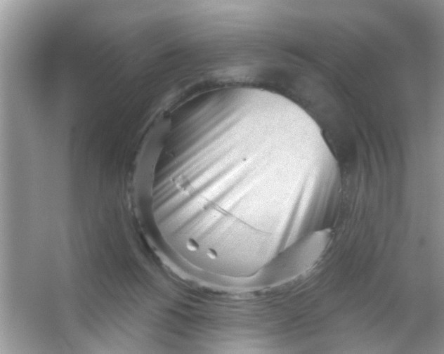 X0000065970168200603311848