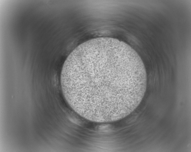 X0000065970173200603311848