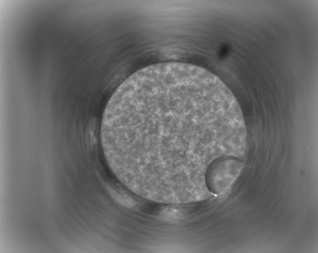 X0000065970174200603311848